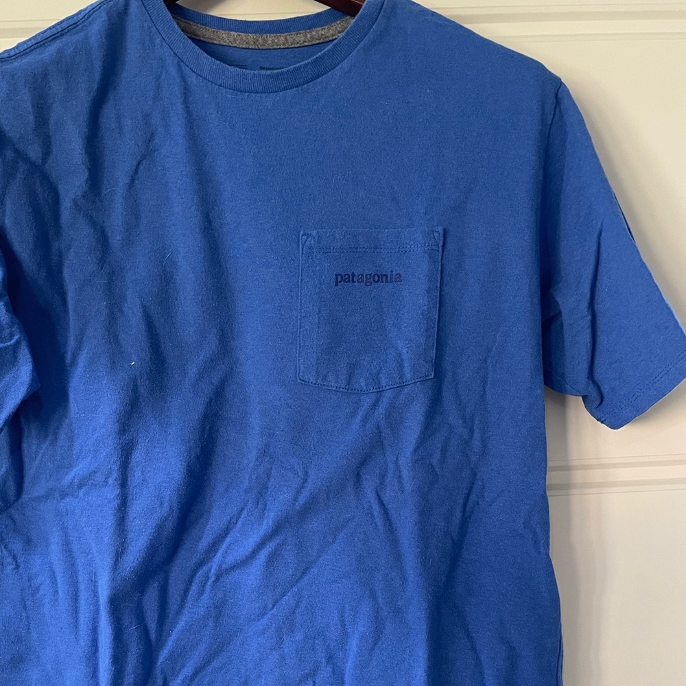 Patagonia Classic Blue Tee
